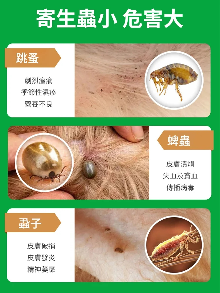 1690752451722358.png a97defe0334c75db689a9d247b6855c.png