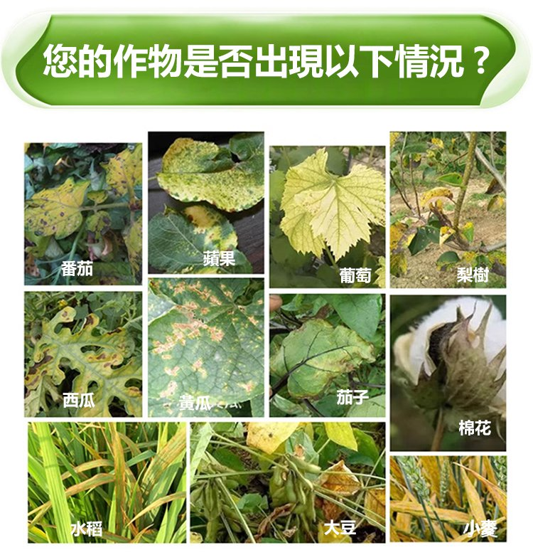 1704554079666852.png 2c9b1967235a8fb9544638418f8500d.png