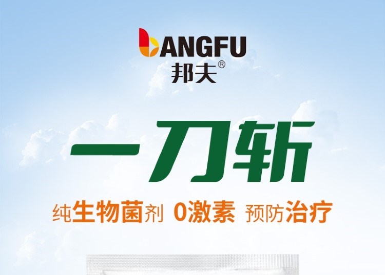 1704714882348795.jpg 3_20230925151654_431.jpg