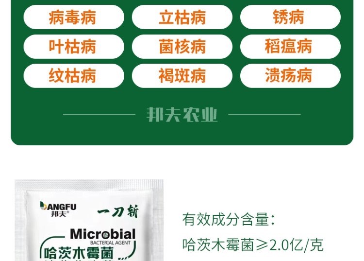 1704714916423248.jpg 6_20230925151657_803.jpg