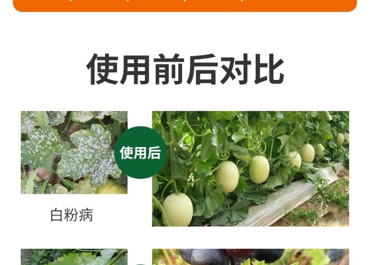 1704714928488338.jpg 8_20230925151700_473.jpg